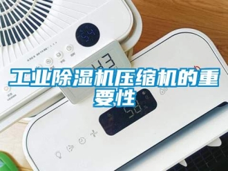 企業新聞工業除濕機壓縮機的重要性