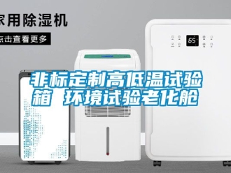 常見問題非標(biāo)定制高低溫試驗箱 環(huán)境試驗老化艙