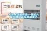 專為大空間而生，智能大吸力低噪音除濕機來了