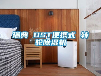 常見問題瑞典 DST便攜式 轉輪除濕機