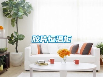 知識百科膠片恒溫柜