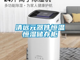 知識百科清遠元器件恒溫恒濕儲存柜