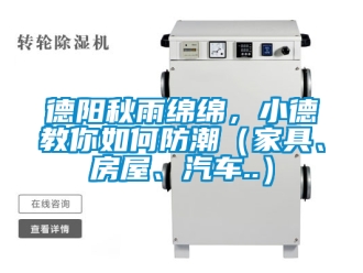 企業(yè)新聞德陽秋雨綿綿，小德教你如何防潮（家具、房屋、汽車..）