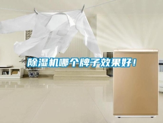 常見問題除濕機哪個牌子效果好！