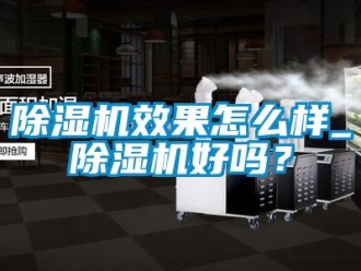 行業新聞除濕機效果怎么樣_除濕機好嗎？