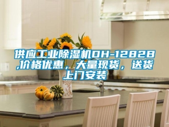 常見問題供應工業除濕機DH-1282B,價格優惠，大量現貨，送貨上門安裝