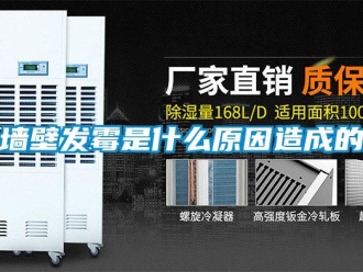 行業(yè)新聞墻壁發(fā)霉是什么原因造成的