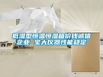知識百科低濕型恒溫恒濕箱價錢誠信企業 寶大儀器性能穩定