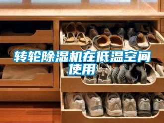 知識(shí)百科轉(zhuǎn)輪除濕機(jī)在低溫空間使用