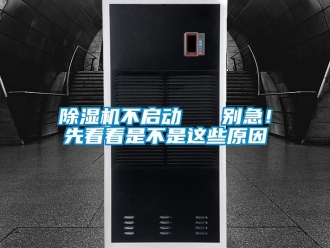 企業新聞除濕機不啟動   別急！先看看是不是這些原因