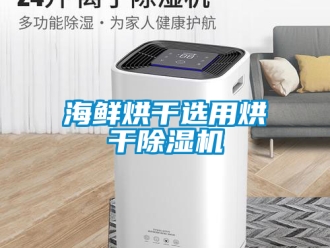 行業新聞海鮮烘干選用烘干除濕機