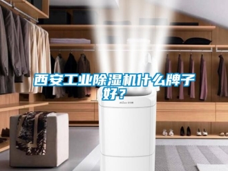 常見問題西安工業(yè)除濕機什么牌子好？