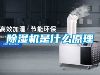 行業(yè)新聞除濕機(jī)是什么原理