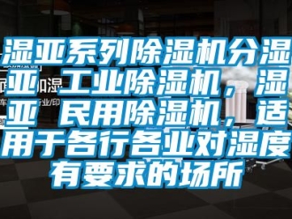 常見問題濕亞系列除濕機(jī)分濕亞 工業(yè)除濕機(jī)，濕亞 民用除濕機(jī)，適用于各行各業(yè)對濕度有要求的場所