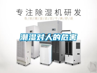 企業新聞潮濕對人的危害