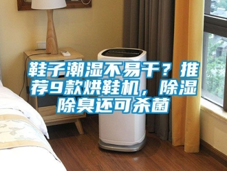 行業新聞鞋子潮濕不易干？推薦9款烘鞋機，除濕除臭還可殺菌