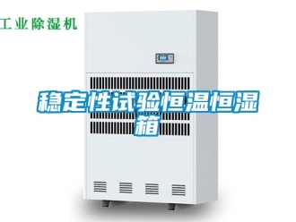 知識百科穩定性試驗恒溫恒濕箱
