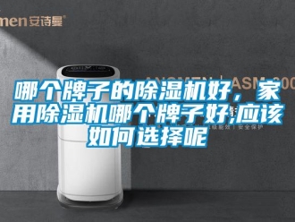 常見問題哪個牌子的除濕機好，家用除濕機哪個牌子好,應該如何選擇呢