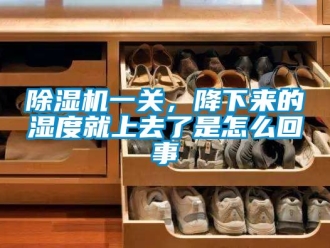 行業(yè)新聞除濕機(jī)一關(guān)，降下來(lái)的濕度就上去了是怎么回事