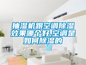 企業(yè)新聞抽濕機(jī)跟空調(diào)除濕效果哪個(gè)好,空調(diào)是如何除濕的