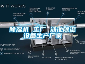 企業新聞除濕機 工廠 泳池除濕設備生產廠家