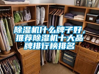 企業新聞除濕機什么牌子好，推薦除濕機十大品牌排行榜排名