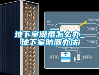 企業(yè)新聞地下室潮濕怎么辦_地下室防潮辦法