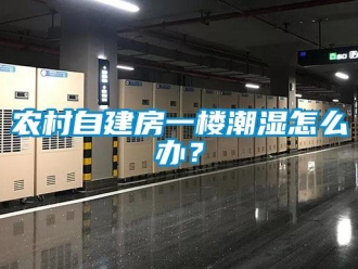 常見問題農(nóng)村自建房一樓潮濕怎么辦？