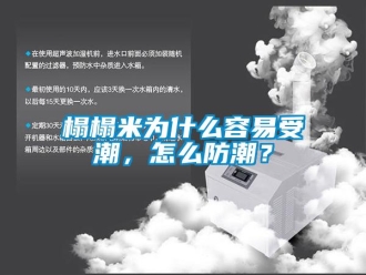 常見問題榻榻米為什么容易受潮，怎么防潮？