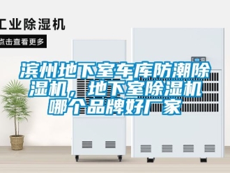 企業新聞濱州地下室車庫防潮除濕機，地下室除濕機哪個品牌好廠家
