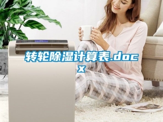 常見問題轉(zhuǎn)輪除濕計算表.docx