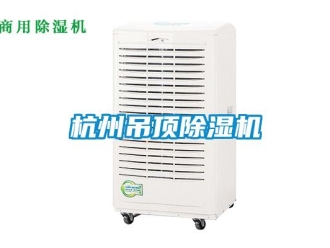 行業(yè)新聞杭州吊頂除濕機