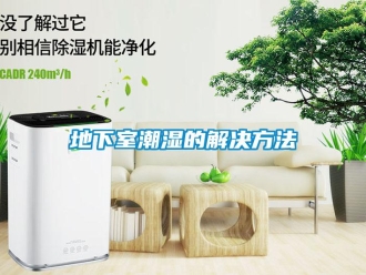 企業(yè)新聞地下室潮濕的解決方法
