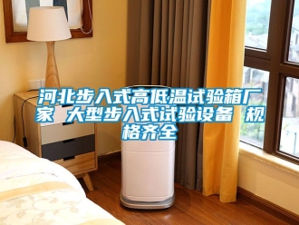 常見問題河北步入式高低溫試驗(yàn)箱廠家 大型步入式試驗(yàn)設(shè)備 規(guī)格齊全