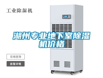 企業(yè)新聞湖州專業(yè)地下室除濕機價格