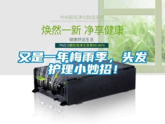 知識百科又是一年梅雨季，頭發(fā)護理小妙招！