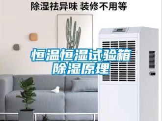 知識百科恒溫恒濕試驗箱除濕原理