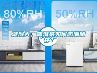 常見問題潮濕天，普洱茶如何防潮儲存？