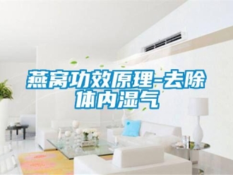 知識(shí)百科燕窩功效原理-去除體內(nèi)濕氣