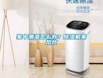 行業新聞家中潮濕怎么辦？除濕機來幫忙