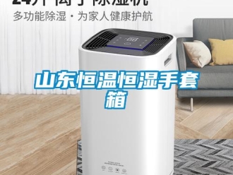 知識百科山東恒溫恒濕手套箱