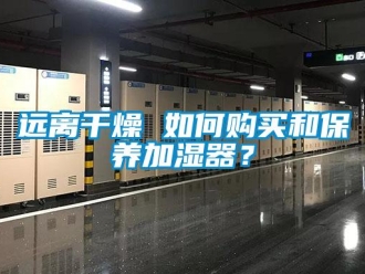 常見問題遠離干燥 如何購買和保養加濕器？