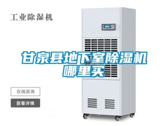 行業(yè)新聞甘泉縣地下室除濕機(jī)哪里買