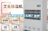 家用除濕機怎么用？優質