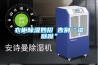 衣柜除濕妙招 告別“濕噠噠”