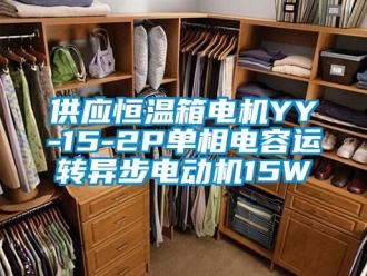 知識百科供應恒溫箱電機YY-15-2P單相電容運轉異步電動機15W