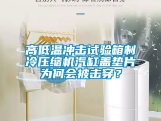 常見問題高低溫沖擊試驗箱制冷壓縮機(jī)汽缸蓋墊片為何會被擊穿？