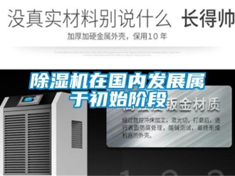 企業新聞除濕機在國內發展屬于初始階段
