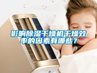 知識百科影響除濕干燥機干燥效率的因素有哪些？