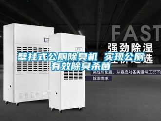 常見問題壁掛式公廁除臭機 實現公廁有效除臭殺菌